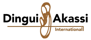 Dingui Akassi International